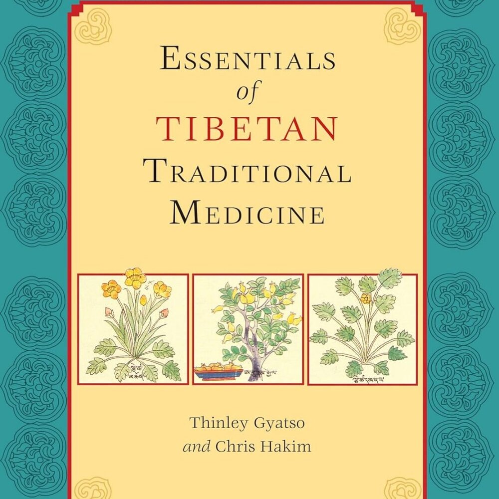 Essentials of Tibetan Traditional Medicine Thinley Gyatso Chris Hakim Paperback
